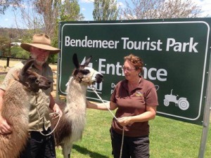 About Bendemeer caravan park