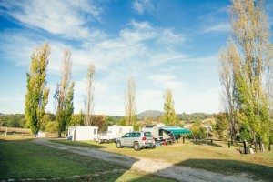 Bendemeer Caravan Park